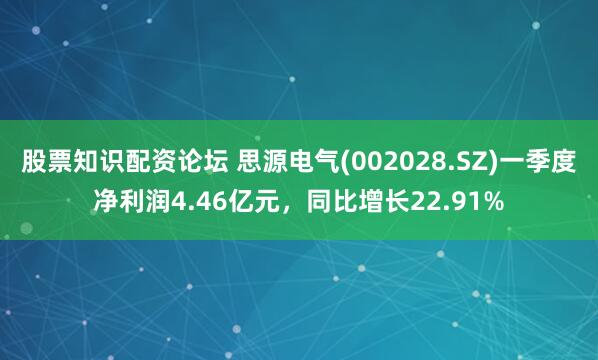 股票知识配资论坛 思源电气(002028.SZ)一季度净利润4.46亿元，同比增长22.91%
