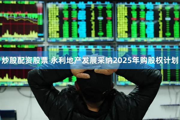 炒股配资股票 永利地产发展采纳2025年购股权计划